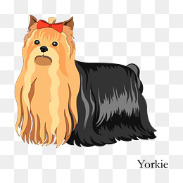 Yorkie Vector