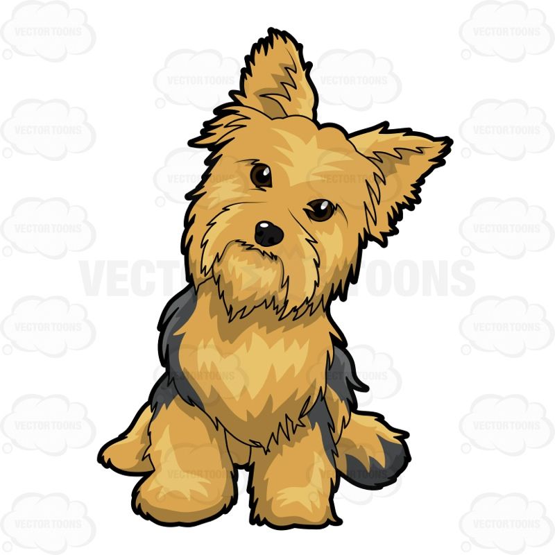 800x800 Yorkie Lucky Dog! Puppy Drawing, Dog Vector, Yorkie Puppy