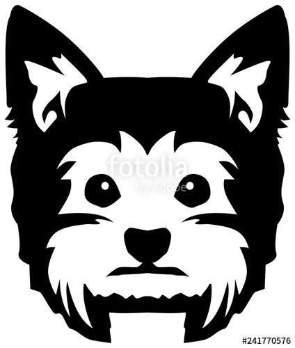 424x500 Yorkie Head Black And White Stock Image And Royalty Free Vector