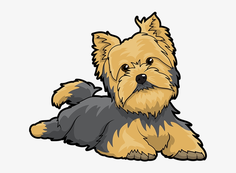 Download Yorkie Vector at Vectorified.com | Collection of Yorkie ...