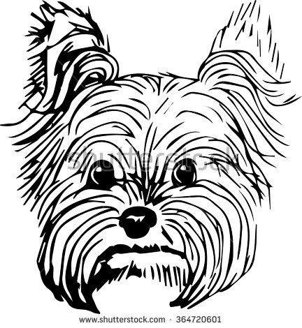 432x470 Yorkshire Terrier Dog Vector Illustration Hand Drawn Small Dog