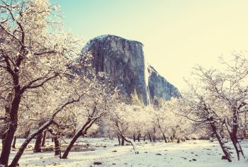 350x236 Smsx Sim Ingimage Cheap Royalty Free Subscription