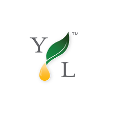 Announcing The New Young Living Logo Young Living Essential Oils 221x225 Announcing The New Young Living Logo Young Living Essential Oils
