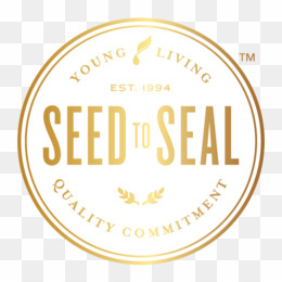 Young Png Young Transparent Clipart Free Download 260x260 Young Png Young Transparent Clipart Free Download