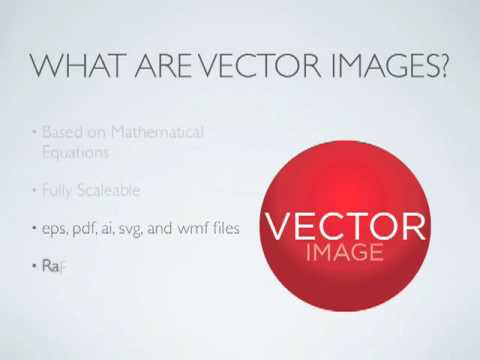 480x360 Vector Vs Bitmap
