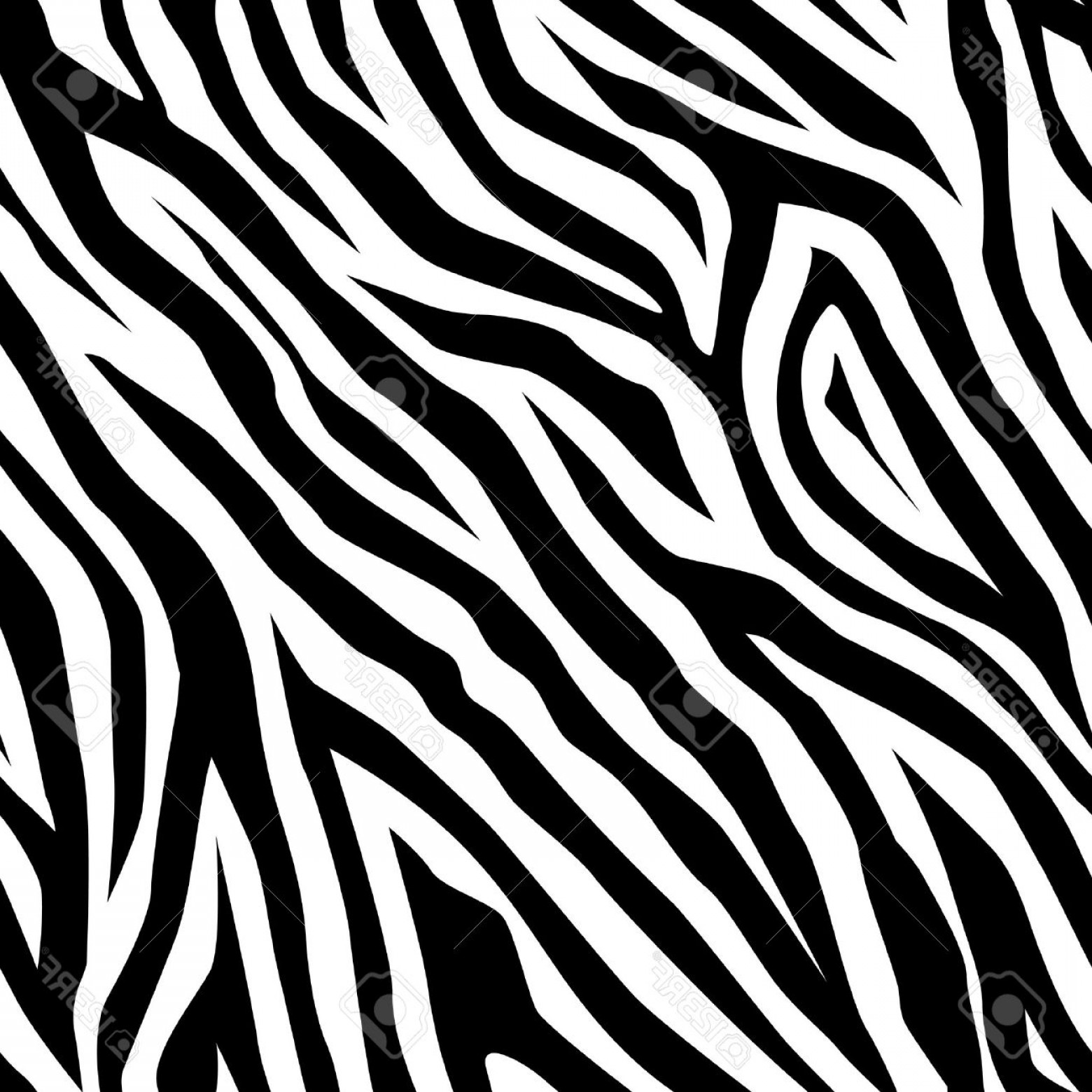 1560x1560 Photostock Vector Zebra Pattern As A Background Vector