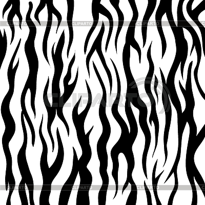 400x400 Zebra Pattern Black And White Animal Background Stock Vector