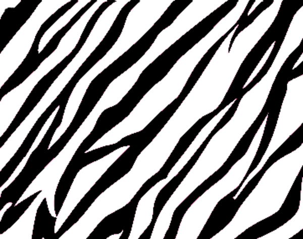 600x474 Zebra Print Background Free Images