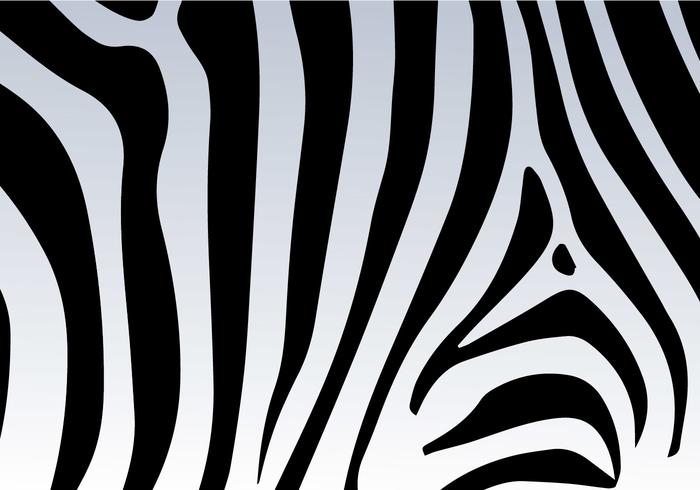 700x490 Zebra Print Vector Background