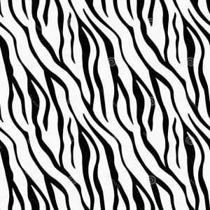 300x300 Zebra Stripes On Transparent Background Vector Catchsplace