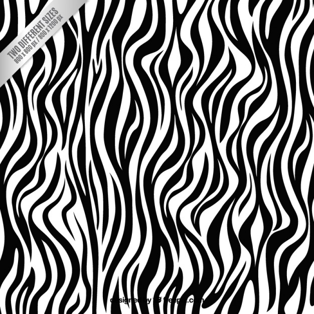 626x626 Zebra Background Vector Free Download