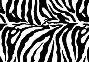 285x200 Zebra Lines Free Vector Graphic Art Free Download