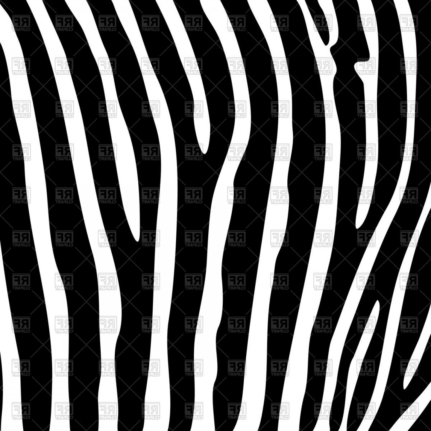 1440x1440 Black And White Zebra Striped Background Vector Clipart Soidergi