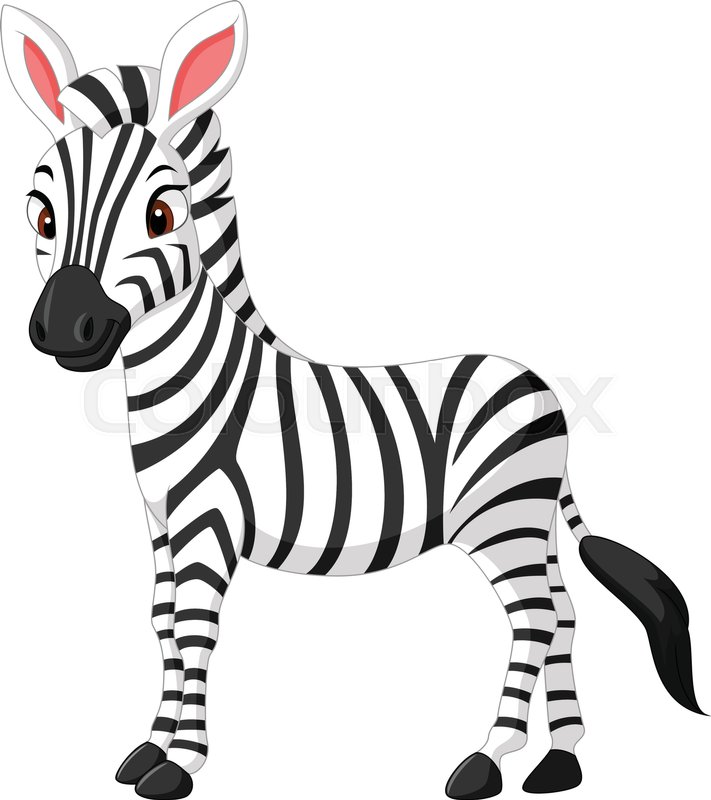 711x800 Vector Illustration Of Cute Zebra Stock Vector Colourbox