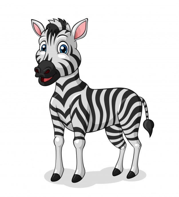 Zebra Cartoon Vector at Vectorified.com | Collection of Zebra Cartoon ...