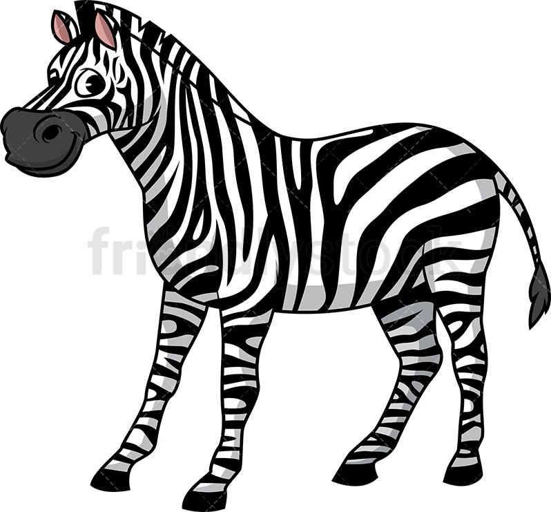 798x741 Wild Zebra Cartoon Clipart Vector