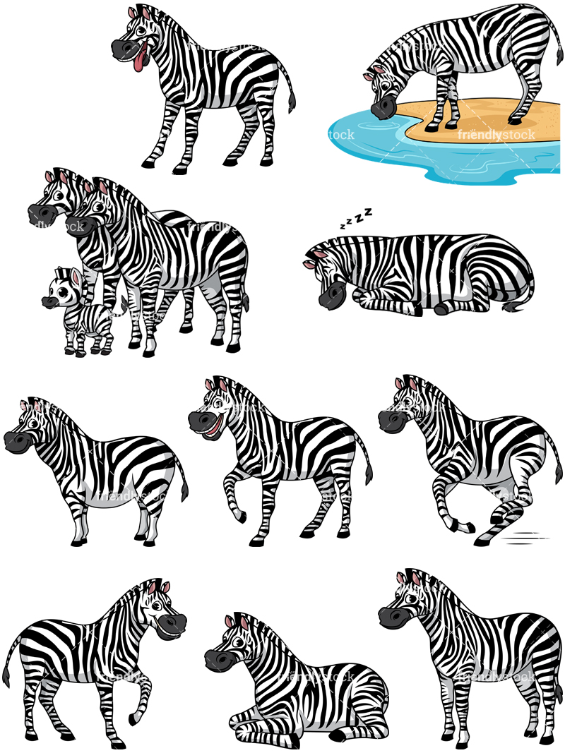 adult zebra clipart
