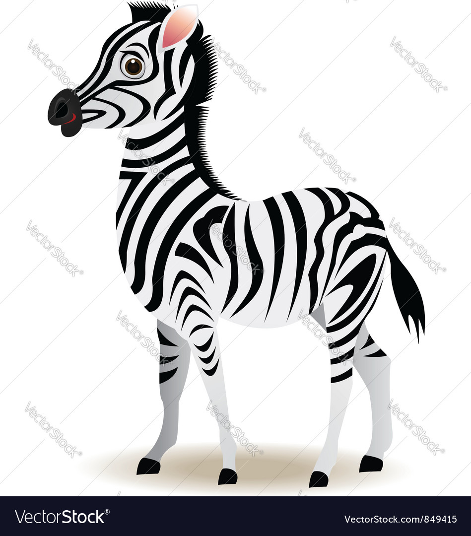 949x1080 Zebra Cartoon Pictures Group With Items