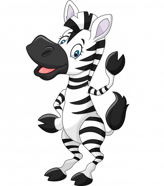 Download Zebra Cartoon Vector at Vectorified.com | Collection of ...