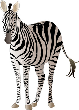 266x368 Zebra Free Vector Download