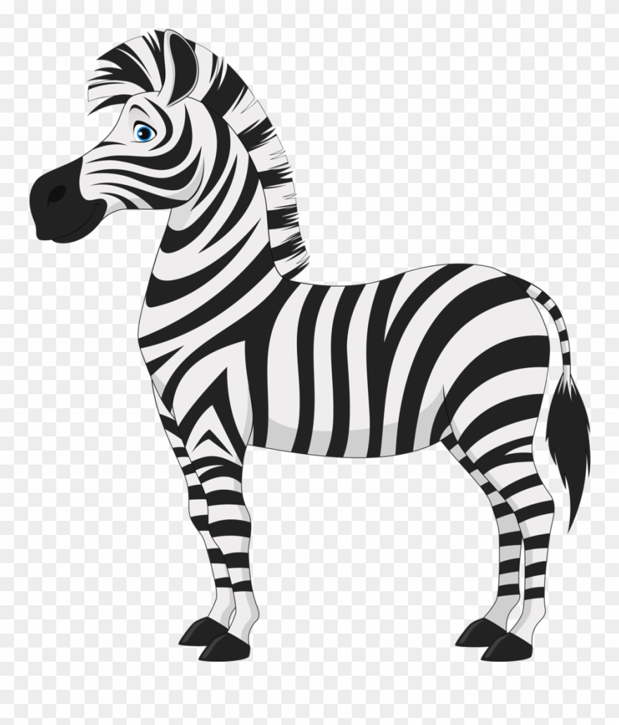 880x1030 Fotki Zebra Cartoon, Zebras, Donkey, Vector Art, Zebra Clipart