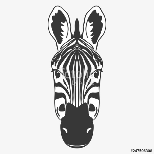 500x500 Zebra Head Face Illustration Vector Stock Image And Royalty Free