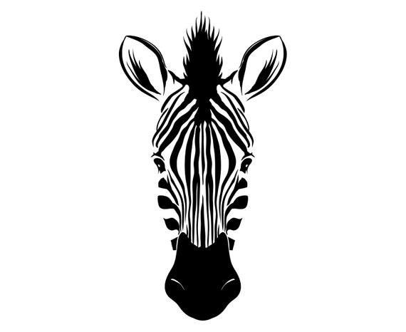 570x466 Zebra Head Etsy