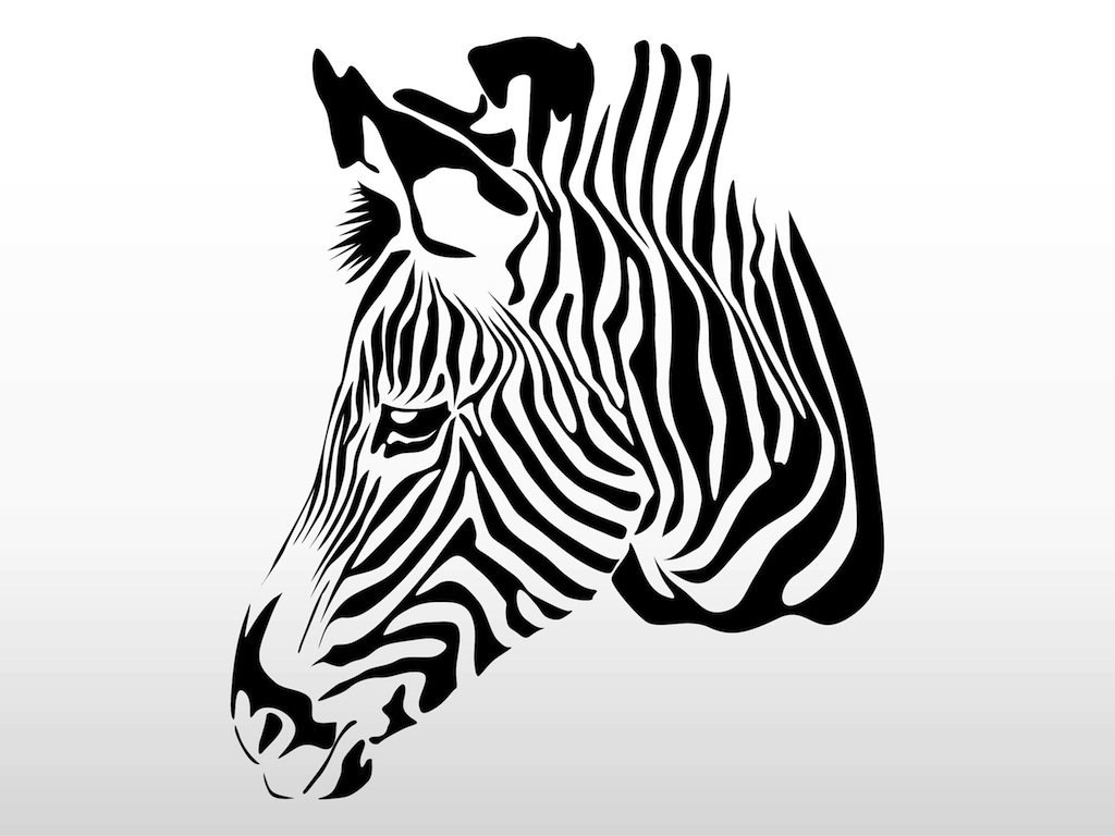 1024x768 Zebra Head Vector Art Graphics