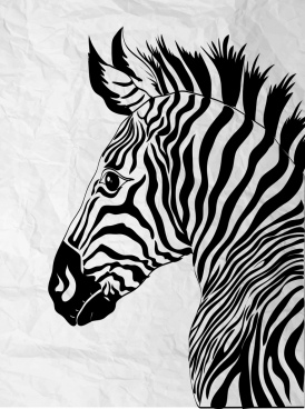 274x368 Zebra Free Vector Download