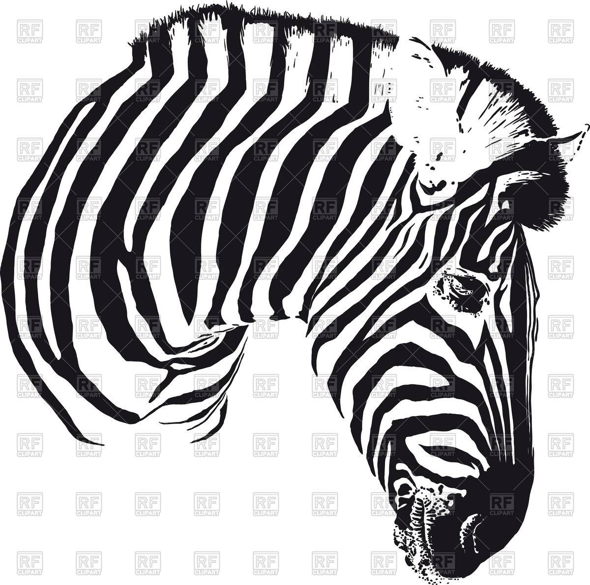 1200x1188 Painted Black Stripes Zebra Head Turned In Profile Vector Image