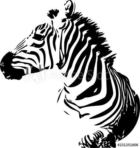 472x500 Zebra Head Vector Hand Drawn
