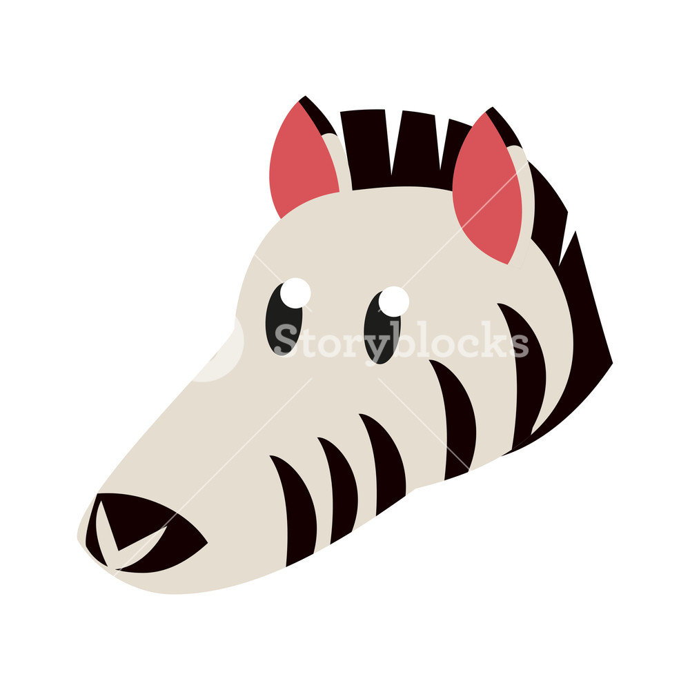 1000x1000 Zebra Wild Animal Head Vector Illustration Graphic Design Royalty