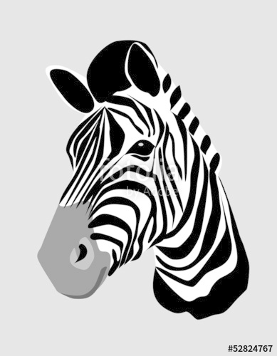 389x500 Zebra Head Stock Image And Royalty Free Vector On Fotolia