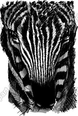 268x400 Sketch Of A Zebra Head Vector Image Of Plants And Animals
