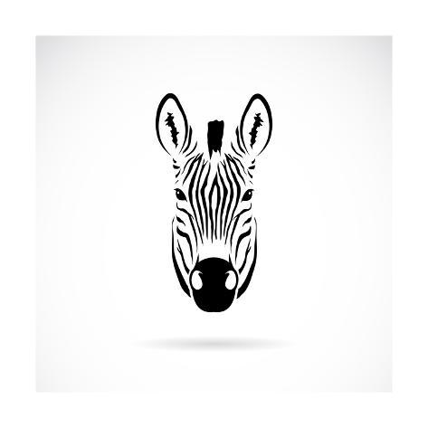 473x473 Vector Image Of An Zebra Head Prints