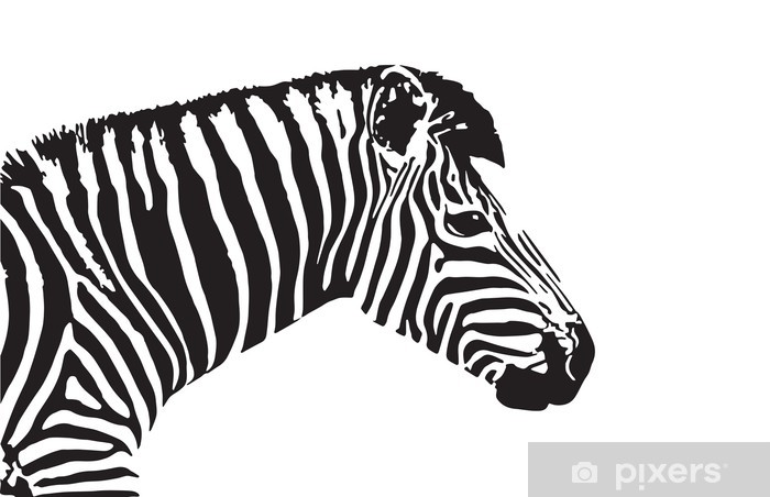 700x452 Vector Image Of An Zebra Head Wall Mural We Live To Change