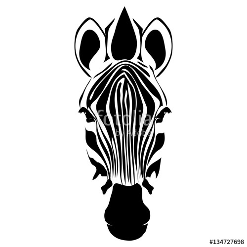 500x500 Zebra Head Vector Stock Image And Royalty Free Vector