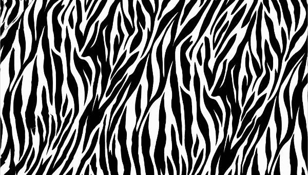 600x340 Zebra Patterns