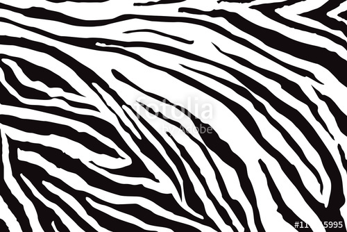 500x334 Zebra Pattern Vector Stock Image And Royalty Free Vector