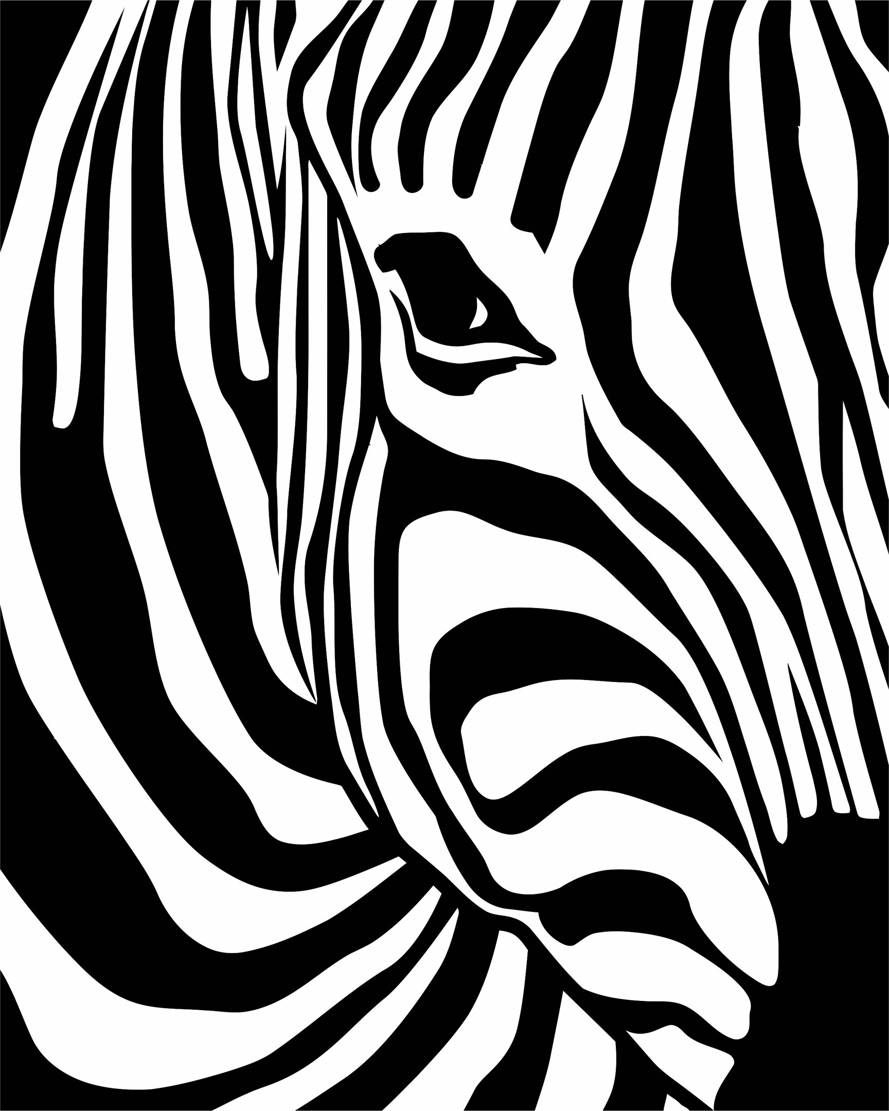 1728x2160 Zebra Print