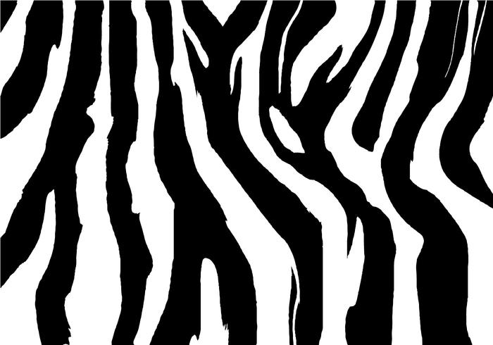 700x490 Zebra Print Free Vector Art
