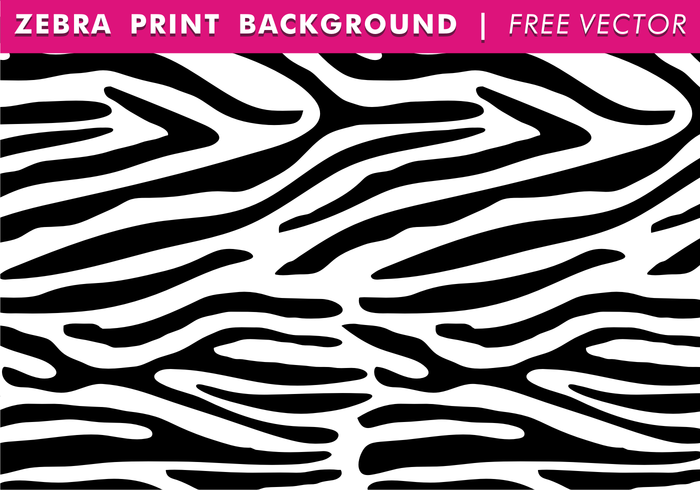 700x490 Zebra Print Free Vector Art