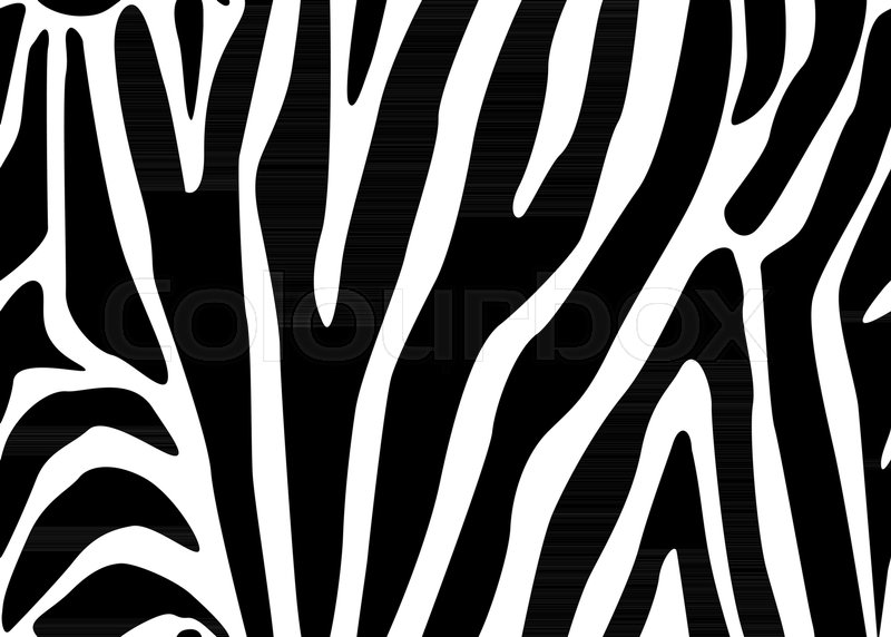 800x572 Zebra Stripes Seamless Pattern Vector Stock Vector Colourbox