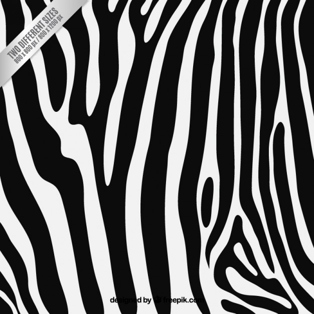 626x626 Zebra Stripes Vectors, Photos And Free Download
