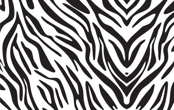 Zebra Print Pattern Hd Icon 600x380 Zebra Print Pattern Hd Icon