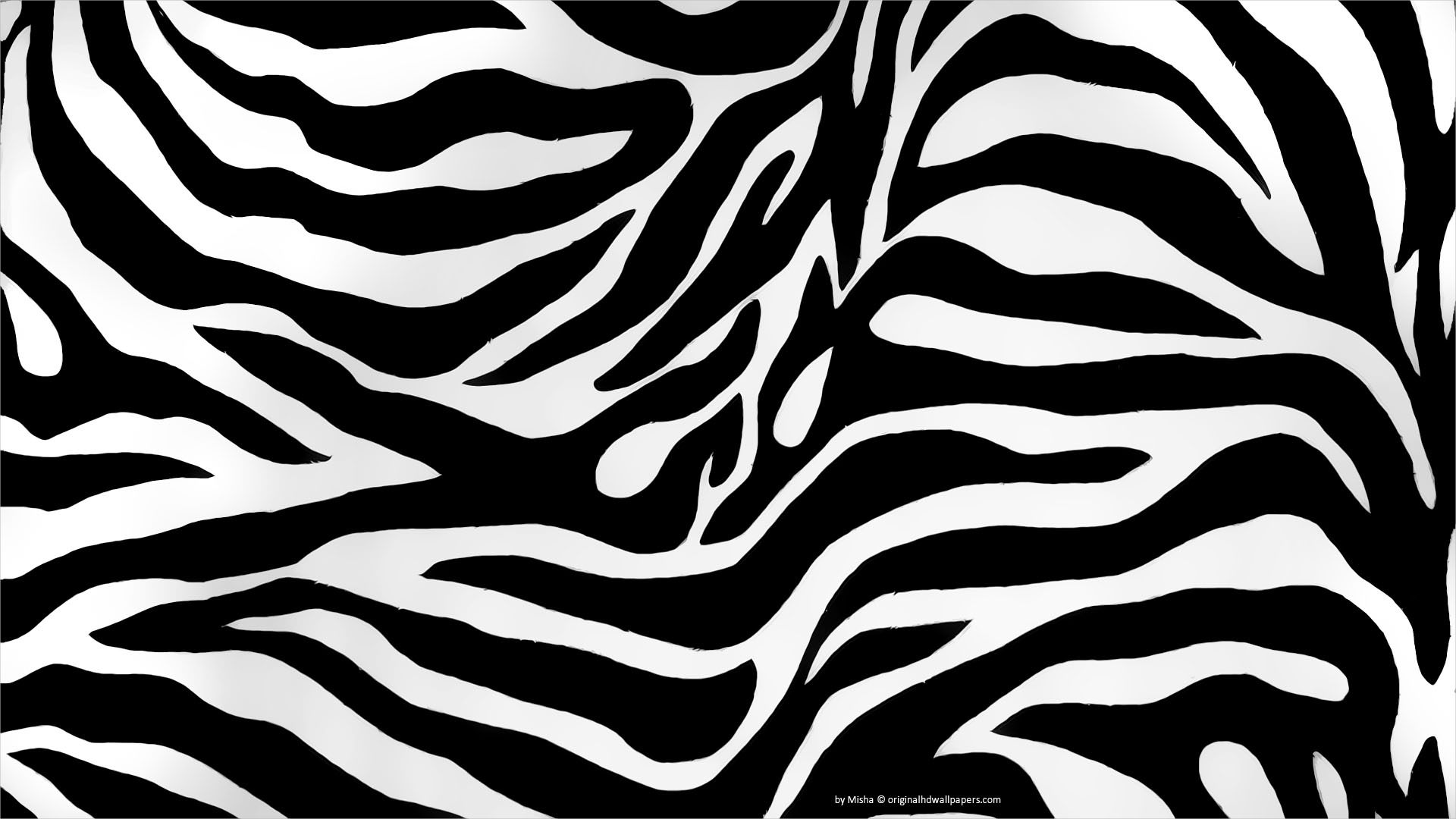 Zebra Print Png Transparent Zebra Print Images 1920x1080 Zebra Print Png Transparent Zebra Print Images