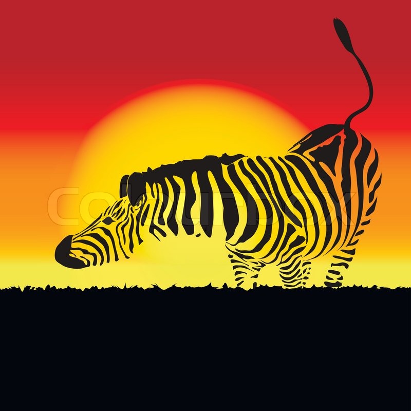 800x800 Illustration Of Zebra Silhouette