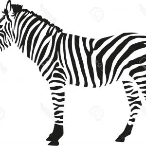 300x300 Silhouette Vector Silhouette Of People Looking Down, Vector City