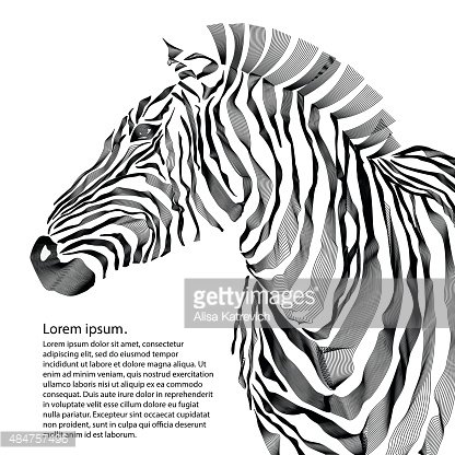 416x416 Animal Illustration Of Vector Zebra Vector Premium Clipart