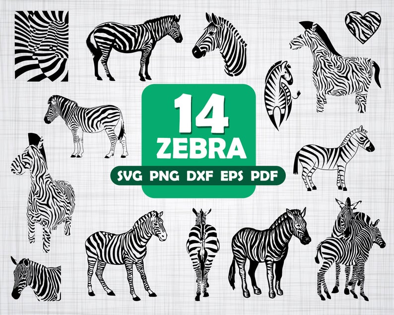 794x635 Zebra Zebra Clipart Zebra Silhouette Zebra Vector Etsy
